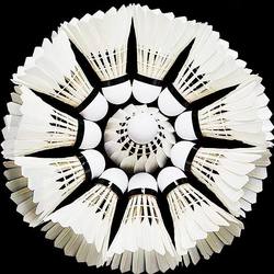 Weighted Badminton Shuttlecocks, 12 Pieces, 6 Pieces, 3 Pieces, Extra Heavy Goose Feather Balls, Not Easy to Crack, for Competition and Training, 10 Large Goose Feather Pieces