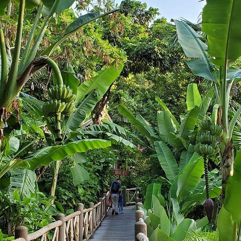 高铁出发云南昆明3天2晚自由行