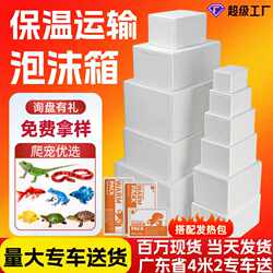 Foam Box for Pet Transportation, Ornamental Fish Transportation, High-Density Insulation Pet Transport Box, Insulated Foam Box