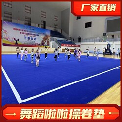 Cheerleading Mat, Artistic Gymnastics Mat, Aerobics Mat, Martial Arts Mat, Sanda Fighting Mat, Combat Fitness Training Mat, Dance Floor Mat