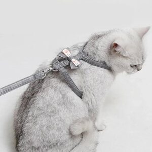 Cat traction rope to break free of cat rope British short blue karka cats out of cat rope chain pet supplies