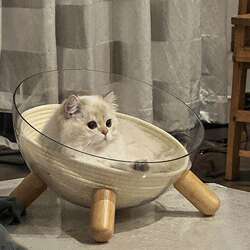 Space Capsule Cat Nest, Suitable for All Seasons, High-Transparency Ice Nest, Semi-Enclosed Acrylic Solid Wood Turntable, Cat Toy and Cat Bed All in One