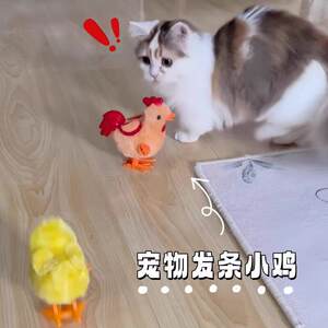 
Wind-up chick cat toy, simulated bird, automatically amuses cats, relieves boredom, consumes physical energy for cats, dogs and pets