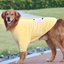 Pet It with This Fleece-Lined Pet Clothing, Warm Winter Dog Clothes, Cute and Funny Sweatshirt for Golden Retrievers and Labradors