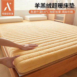 Autumn and Winter Lamb Wool Mattress Soft Pad for Student Dormitory Single Bed, Milk Velvet Thickened Pad, Special Mattress for Rental Housing