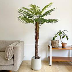 German Imported Large Indoor Artificial Trees, Such as Prickly Pear, Needle Palm, and Coconut Trees, Artificial Green Plants, Floor-Standing Potted Plants, Fake Trees for the Living Room