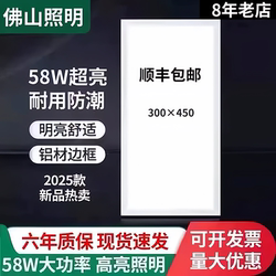 Foshan Lighting 300×450 Integrated Ceiling Led Kitchen Light 300×450 Aluminum Ceiling Panel Mineral Wool Board Gypsum Board