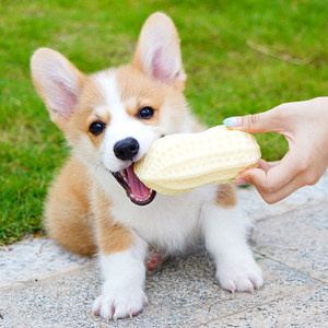 Dog toy balls, grinding teeth, hair, peanuts, large -scale dog golden retriever puppies, Corgi Fighting cats and dogs to relieve stuffy artifacts