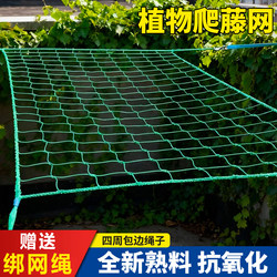 Plant Climbing Net, Grid Climbing Net, Climbing Trellis, Planting Net, Passion Fruit, Loofah, Beans, Green Radish, Fruit Climbing Net