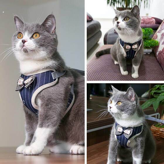 
Cat rope, cat and dog chain, Teddy leash, anti-breakaway cat leash, dog leash, puppy chain, pet supplies summer