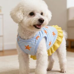 Pet Clothing Spring and Summer New Styles Dog Clothes Cat Bichon Teddy Skirt with Leash Ring Starfish Striped Skirt