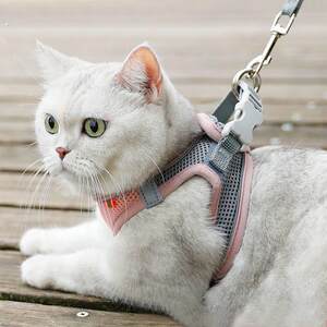 Pet cat led the rope vest, the backbone back, out of the British short slippery cat rope cat chain to prevent break free cat supplies
