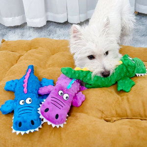 
Dog voice toys to relieve boredom artifact puppy teeth grinding cat self-healing bibie puppy magical fight and bite-resistant pet supplies