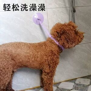 
Pet bathing fixing artifact cats and dogs cleaning beauty prevent breaking and anti-scratching and anti-slimming nails pet supplies