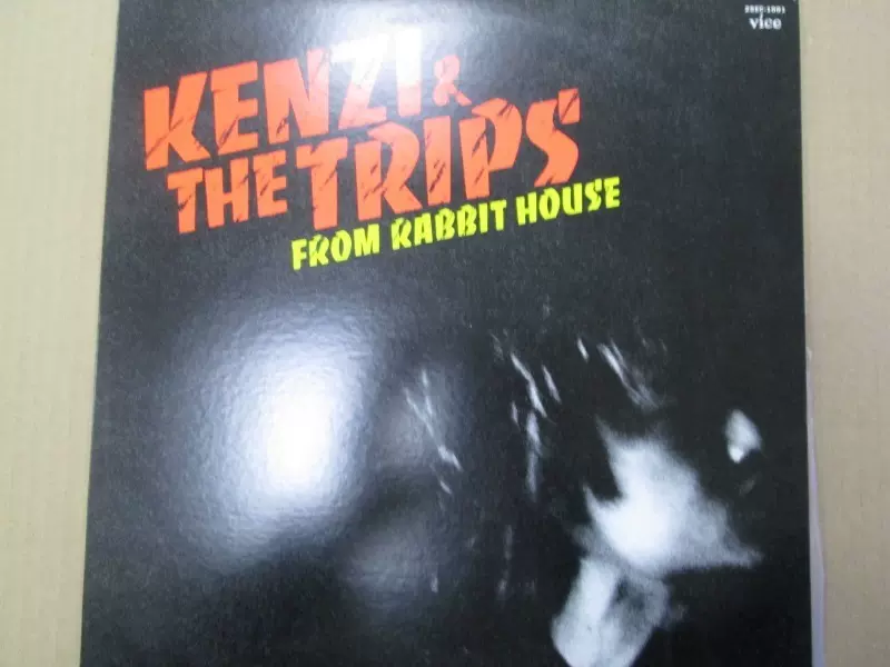 Kenzi & The Trips - From Rabbit House - 朋克摇滚黑胶LP唱片-Taobao