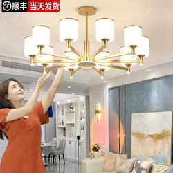 Nordic New Style Living Room Chandelier, Light Luxury, Modern and Simple, Household Bedroom Dust-Proof, Hall and Restaurant Package Lighting Fixtures