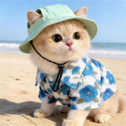 Pet Cat Hat for Spring and Summer, Outdoor Sun Hat with Exposed Ears, Devon Rex, British Shorthair, Golden Shaded, Cute Fisherman Hat