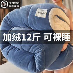 Antarctic Lamb Wool Quilt Winter Quilt Cotton Quilt Core Thickened Warm Winter Dormitory Single Student Winter Bedding