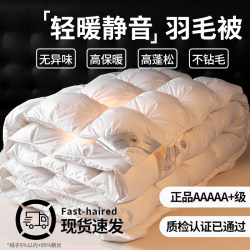 Nanjiren Genuine down Quilt Winter Quilt Core Five-Star Hotel Single Thickened Warm Spring and Autumn Quilt Suitable for All Seasons