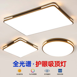 Living Room Main Light 2025 New Style Atmospheric Simple Modern Led Ceiling Light Home Restaurant Bedroom Light