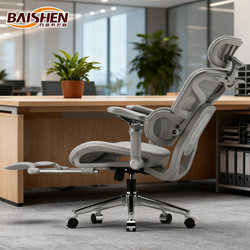 Baisen Ergonomic Chair Office Chair Comfortable for Long Sitting Home Computer Chair Student Study Chair Reclining Gaming Chair