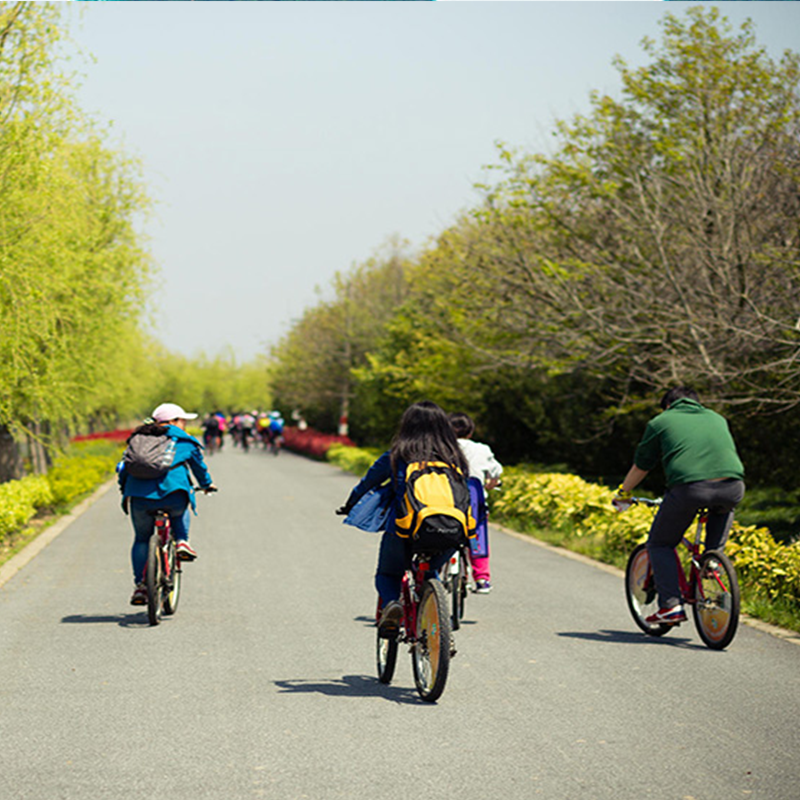 游侠客长兴岛横沙岛骑行一日上海旅游50km玩转双岛提供自行车纯玩