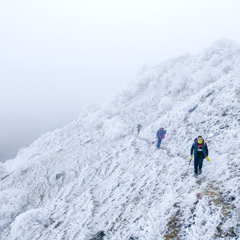 游侠客卧龙云中岭一日跟团游户外徒步 雾凇雪景云中牧场 成都往返