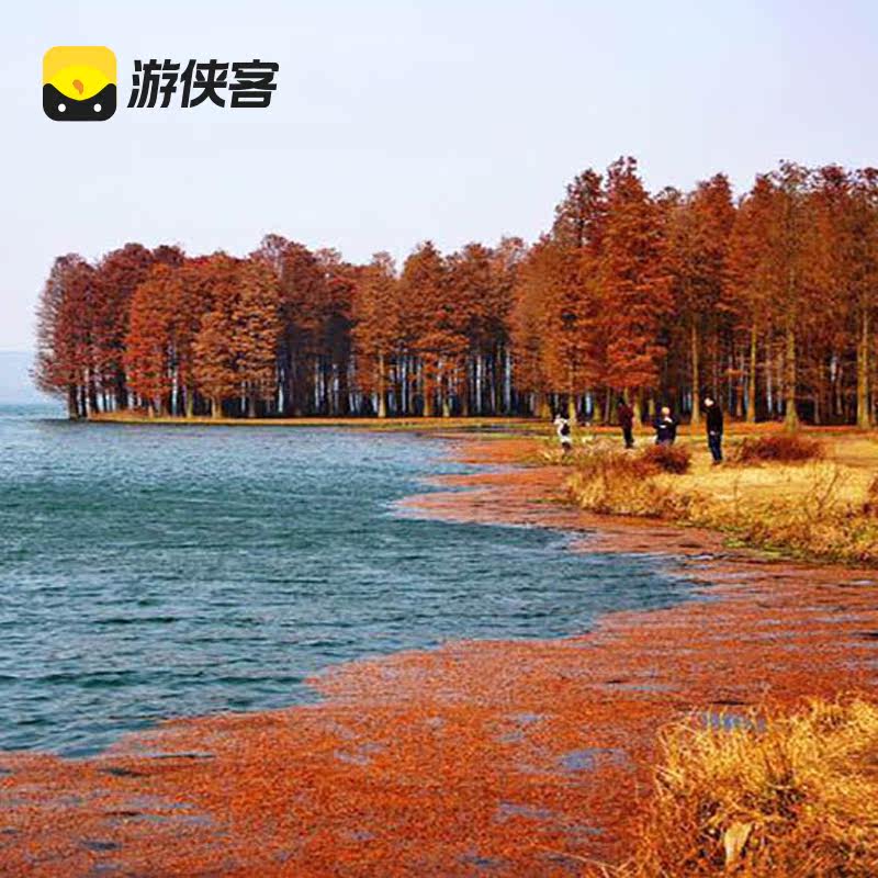 游侠客余姚四明湖燕窝古道一日跟团游新手入门徒步红杉林上海往返