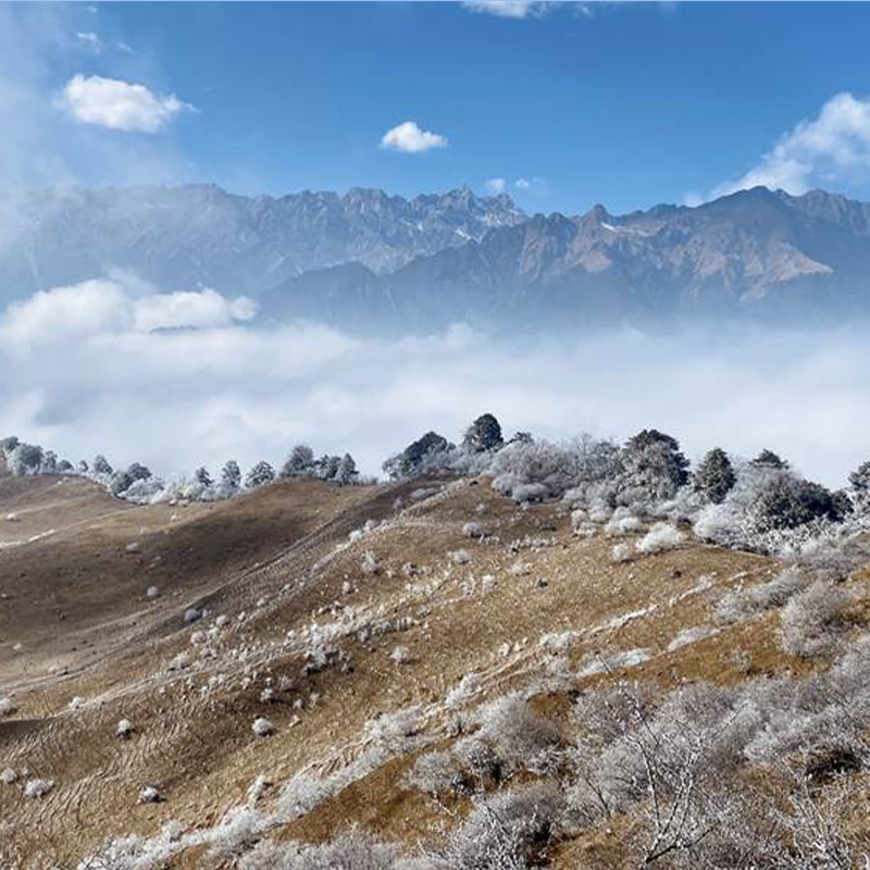 游侠客卧龙云中岭一日跟团游户外徒步 雾凇雪景云中牧场 成都往返