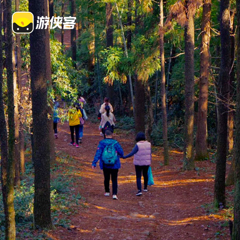 游侠客莫干山葛岭仙境户外1日跟团游赏秋徒步森林溪瀑 上海往返
