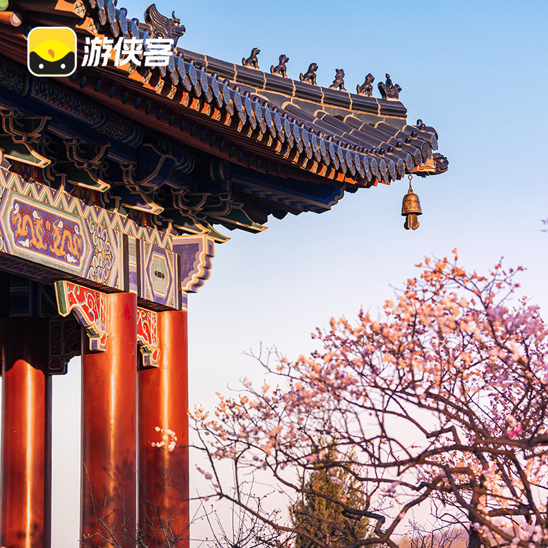 游侠客南京明孝陵2H专业讲解 走神道石象路 寻紫霞湖鹿苑2-10人团