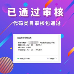 Mini-Program Review and Publishing, Fast Review and Submission, Channel Expansion Categories, Expedited Development Services