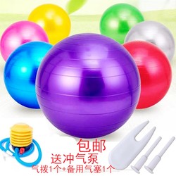  Yoga Balls, Fitness Exercise Balls, Sensory Training Balls, Bus Couple Balls, Children's and Adult Dance Balls