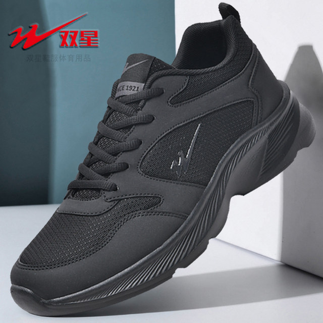 Double Star Shoes Men's Shoes Breathable Mesh Casual Shoes Men's Black ...