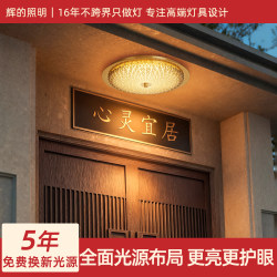 Outdoor Ceiling Light, New Waterproof and Insect-Proof Villa Courtyard Eaves Outdoor New Chinese-Style Round Entrance Balcony Light