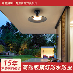 Balcony Light, Ceiling Light, Outdoor Waterproof and Insect-Proof, Outdoor Corridor Courtyard Ceiling Light, 2026 New Model, Special Light for Sunroom