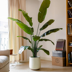 Artificial Green Plant Banana Leaf Bird of Paradise Fake Tree Bionic Plant Living Room Indoor Large Bonsai Ornament Decoration