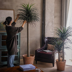 Luxurious Artificial Green Plant, Dragon's Blood Tree, Indoor Living Room Decoration, Large Artificial Plant, Floor-Standing Potted Plant Ornament