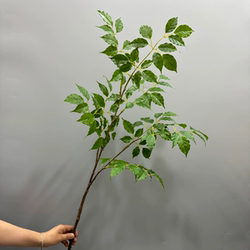 Artificial Foliage, Happiness Banyan, Home Greenery, Soft Decoration, Artificial Horse Drunk Wood Leaves, Photography Props