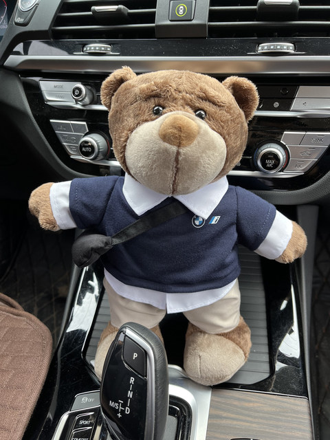 New BMW Bava bear dolls 4S store car gift doll camping bear sweater ...