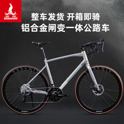 Phoenix Hr930 Road Bike for Adults, Men and Women, Student Variable-Speed Aluminum Alloy Commuter Racing Bike, Ready for Shipping