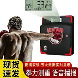 Boxing Force Measuring Instrument Wall Target Boxing Force Tester Dynamometer Strength Training Boxing Target Adult and Children's Martial Arts Equipment