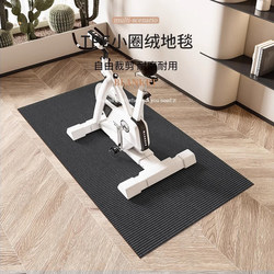 Dynamic Bicycle Floor Mat, Sports Fitness Soundproof Anti-Slip Mat, Home Treadmill Silent Mat, Skipping Rope Shock-Absorbing Carpet