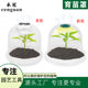 Mini Plastic Garden Cover Seedling Wholesale Gardening Tools Transparent Cover Spot Factory Insulation Seedling PET Cover