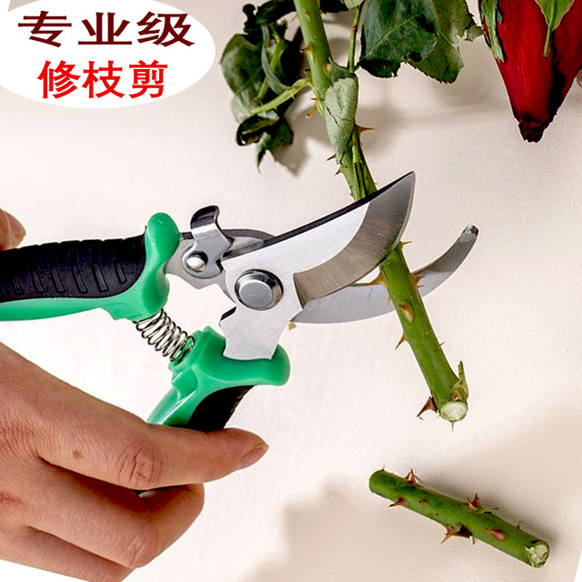 Branching, cutting knife, fruit tree scissors, house shear flowers picking fruits, cutting branches, scissors, greening grafting garden gardening scissors
