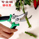 Branching, cutting knife, fruit tree scissors, house shear flowers picking fruits, cutting branches, scissors, greening grafting garden gardening scissors
