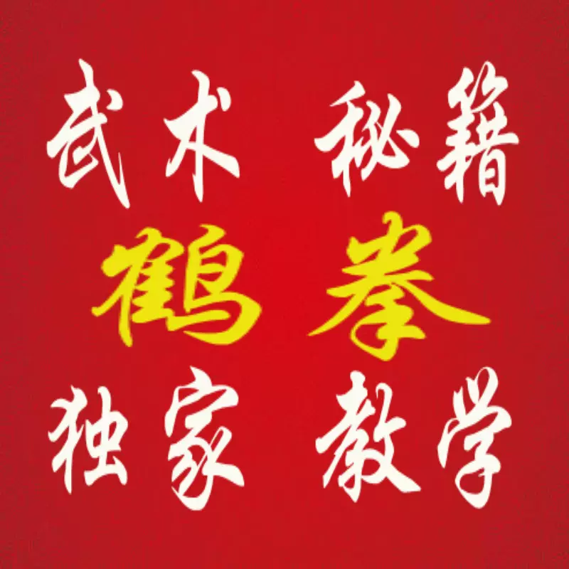 武术鹤拳视频教程白鹤拳食鹤拳鹤拳密钥视频教程