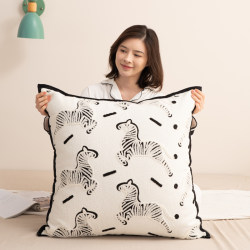 Beautifully Designed Throw Pillows and Cushions for Sofa, Living Room, Creative Nordic Light Luxury High-End Style, Large Size Cushion Covers and Backrest Pads