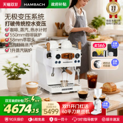 Hambach 7116 Wukong Home-Use Italian Semi-Automatic Coffee Machine Small Commercial Milk Tea Shop