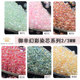 Xinxin Yuxing rice beads 2mm/3mm imported from Japan beads 272/277/11/0 dyed core illusion 281/282